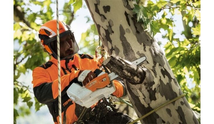 STIHL Helmset Advance X-Climb 00008880812