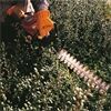STIHL HS 45 Heckenschere 45cm 42280112937