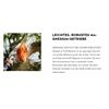 STIHL HT135 Benzin Hochentaster 30cm 41822000198