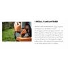 STIHL RT 5097 Z Aufsitzmäher 61602000024