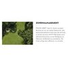 STIHL iMOW 5 EVO Mähroboter IA010111410