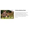 STIHL HSA 30 Akku-Heckenschere Solo AS-Sy. HA080113500
