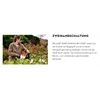 STIHL HSA 40 Akku-Heckenschere AS-Sy. Solo HA080113520