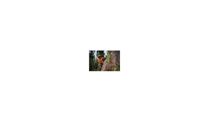 STIHL Motorsäge MS500i 50cm/6,8Ps #11472000000