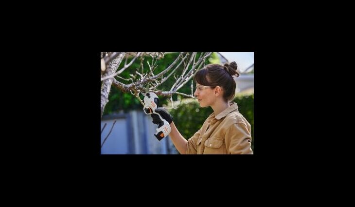 STIHL ASA 20 Set Akku-Astschere AS2 + AL1 VA050116210