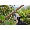 STIHL ASA 20 Set Akku-Astschere AS2 + AL1 VA050116210