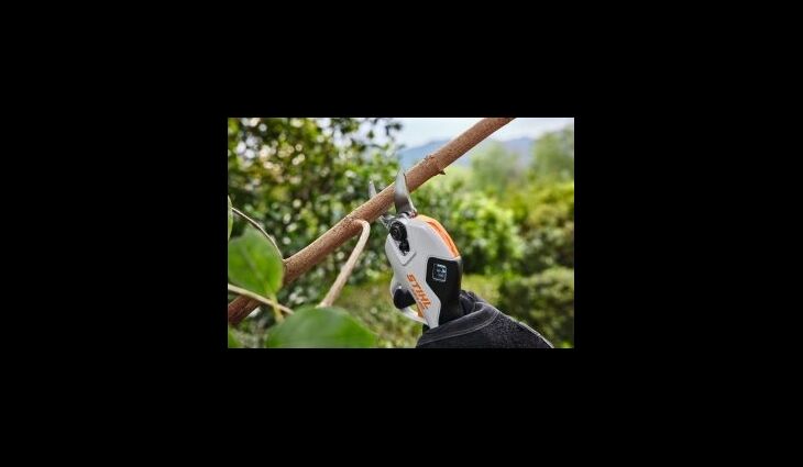 STIHL ASA 20 Set Akku-Astschere AS2 + AL1 VA050116210