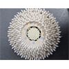 Nilfisk Alto Schrubbbürste 14" (355mm) #56114223 Gebrau