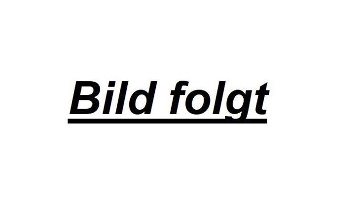 Nilfisk Alto Dreh-Schalter