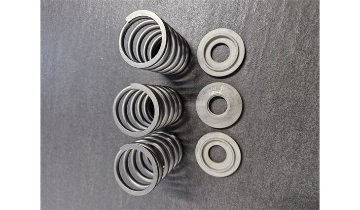 Nilfisk Alto Kolbenfedern Set NA5 107144104