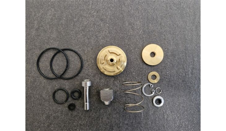 Nilfisk Alto Reparatursatz für Umlaufventil